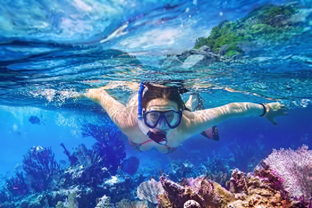 Snorkeling Trips & Boat Tours