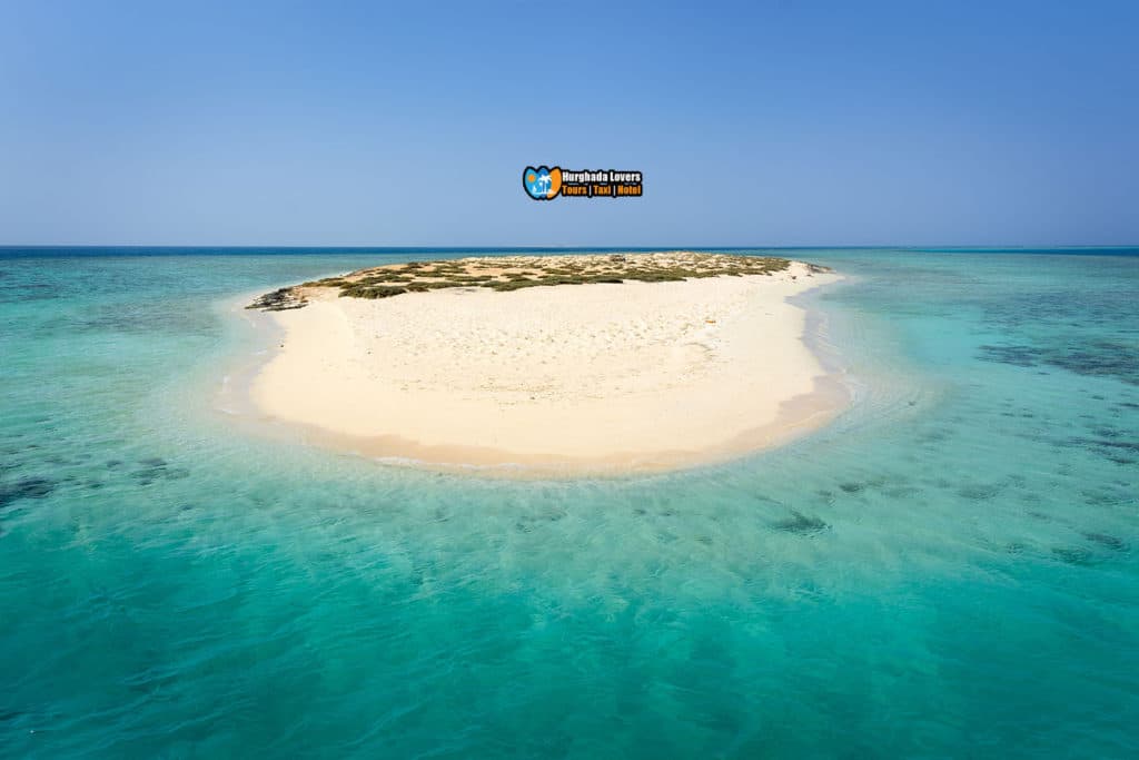 Utopia Island excursion in El QUSIER & MARSA ALAM - Image 2