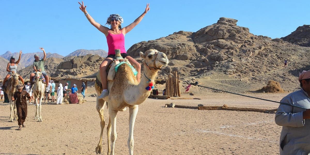 Mega Safari excursion in El QUSIER & MARSA ALAM - Image 2