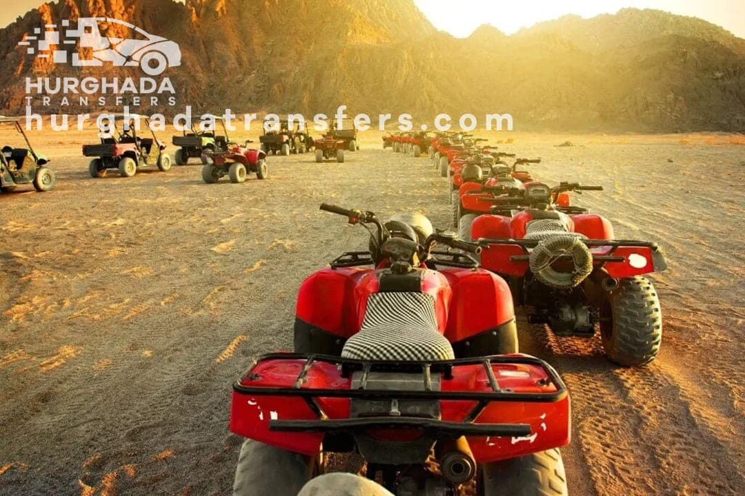 Mega Safari excursion in El QUSIER & MARSA ALAM - Image 3