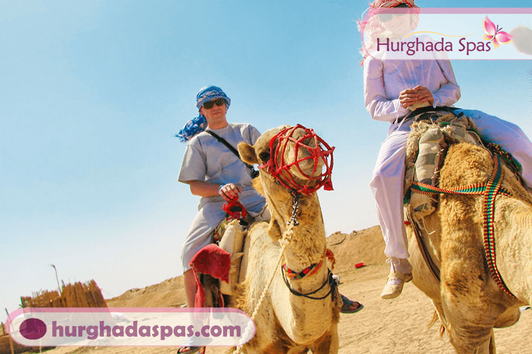 Mega Safari excursion in El QUSIER & MARSA ALAM - Image 4