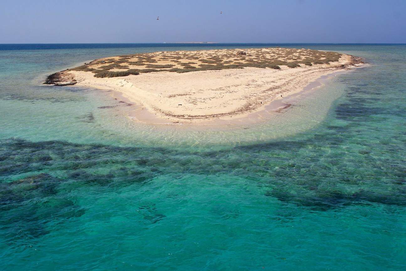 Marsa Moubark excursion in El QUSIER & MARSA ALAM - Image 1