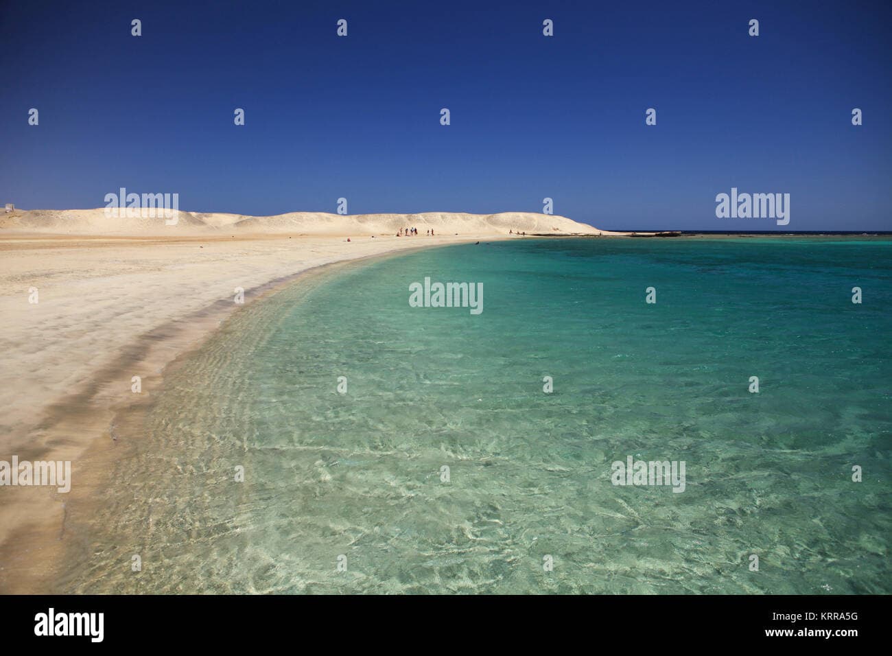 Marsa Moubark excursion in El QUSIER & MARSA ALAM - Image 2