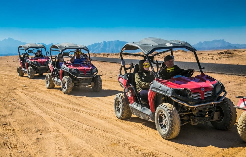 Pure Nature safari