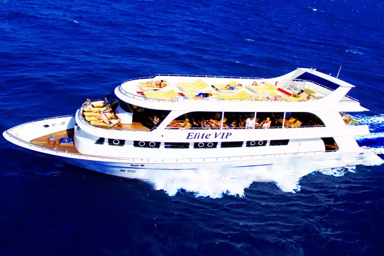 Elite Vip Cruise excursion in Egypt - South Sinai - Sharm El Sheikh - Image 1