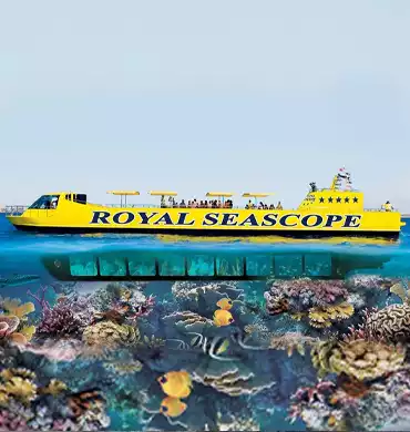 Seascope Submarine excursion in Egypt - South Sinai - Sharm El Sheikh - Image 1